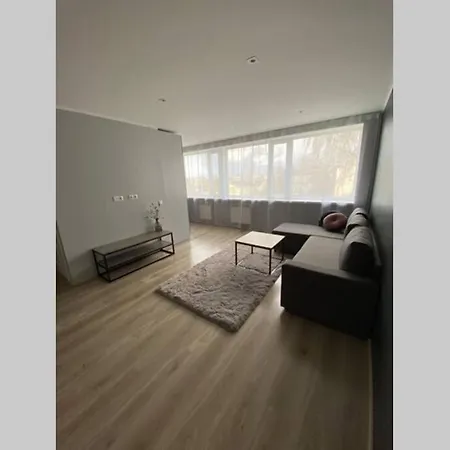 Modern One Bedroom Apartment In Voru Centre *